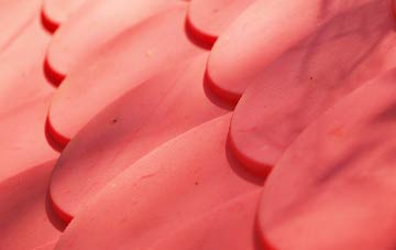 Sharnbrook plastic roof costs